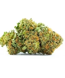 Buy Platinum gsc Weed Strain Australia from your #1 Best Store | Order Platinum gsc Weed Strain Online