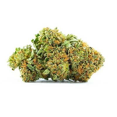 Buy Platinum gsc Weed Strain Australia from your #1 Best Store | Order Platinum gsc Weed Strain Online