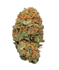 Buy AK 47 weed strain Australia from #1 Best Store | Order AK 47 weed strain | Best place to get AK 47 weed strain online