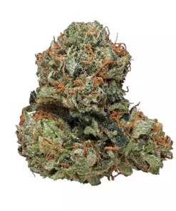 Buy Kosher Kush weed strain Australia 2