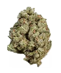 Buy Sour OG Ruxton Weed Strain Australia