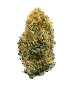 Buy White Widow weed strain Australia