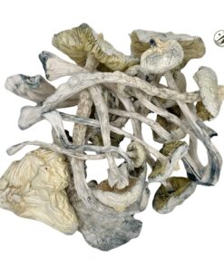 White Jedi Mind Fuck