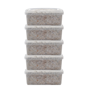 Fresh Mushrooms Grow Kit Discount 5 Pack