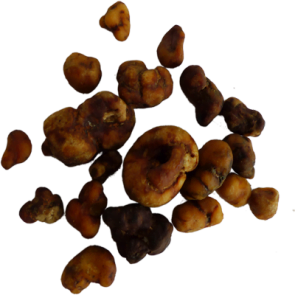 Magic Truffles Atlantis