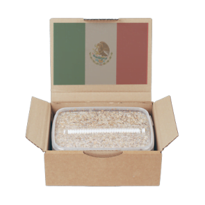Mondo Grow Kit Mexican