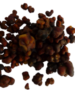 Magic Truffles Mexicana