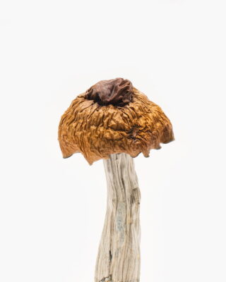 Buy Martinique magic mushrooms online in Australia