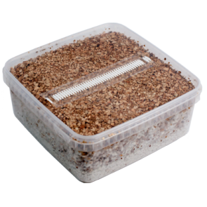 Mondo Grow Kit PES Amazon XL