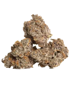 Buy Blueberry dream strain Australia