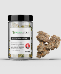 Buy Blueberry dream strain Australia