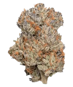 Buy Cereal Milk Weed Strain Online Australia