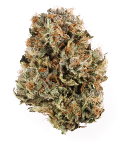 Buy Grape Galena weed Strain online Melbourne Australia